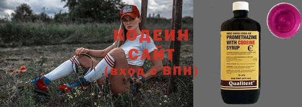 МДПВ Карпинск