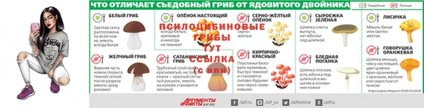 МДПВ Карпинск