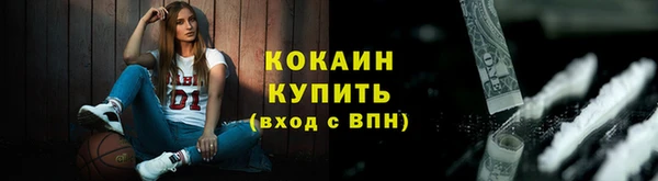 МДПВ Карпинск