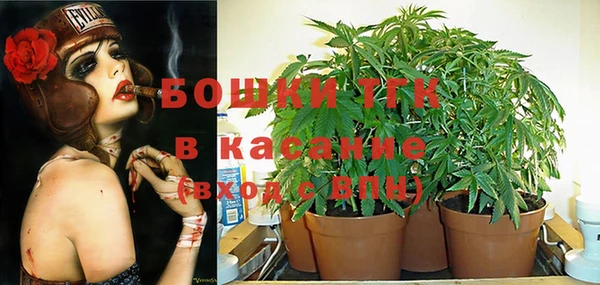МДПВ Карпинск