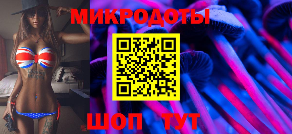 Псилоцибиновые грибы прущие грибы Стрежевой