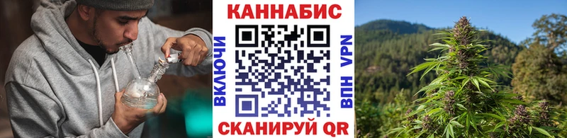 Канабис OG Kush  Стрежевой 